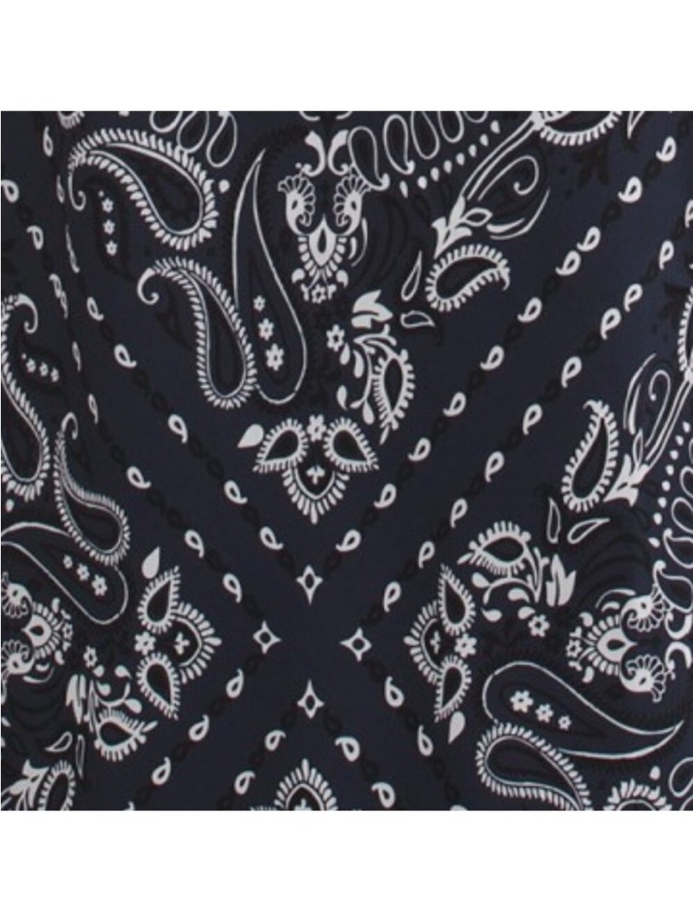 NWT ✧💙 Camila Coelho💙✧ Navy & White Paisley Slip Maxi Dress M - Picture 4 of 5